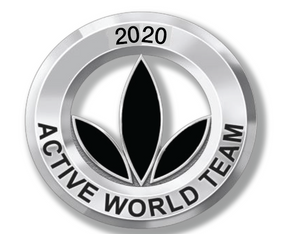 AWT 2020 pin